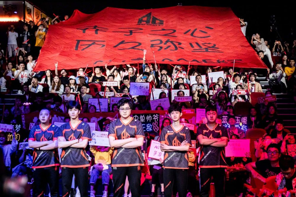 不仅提升了